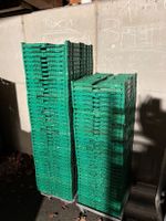 22 x Gemüsekisten 60x40 diverse Höhen