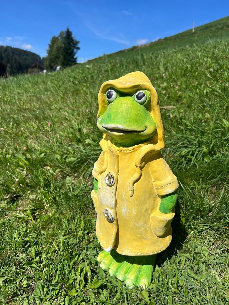 Alle Dekorationen: Deko-Frosch ca 40cm – Gebraucht aus Wattwil von Weinachtsmann 1
