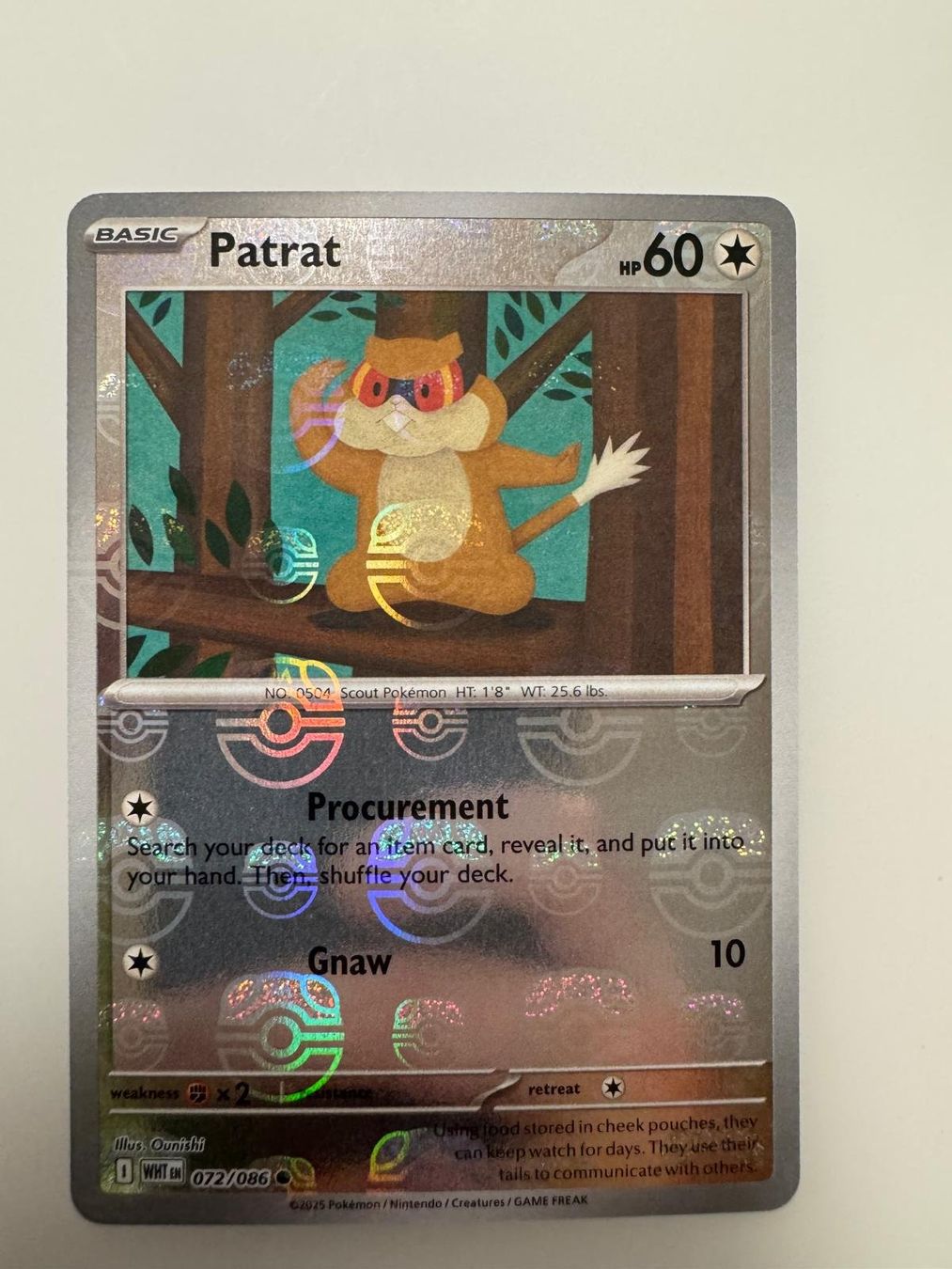 Pokémon Carte collezionabili: Patrat | Masterball | WHT 072/086 | EN – Usato da Spreitenbach venduto da Snacky96 2