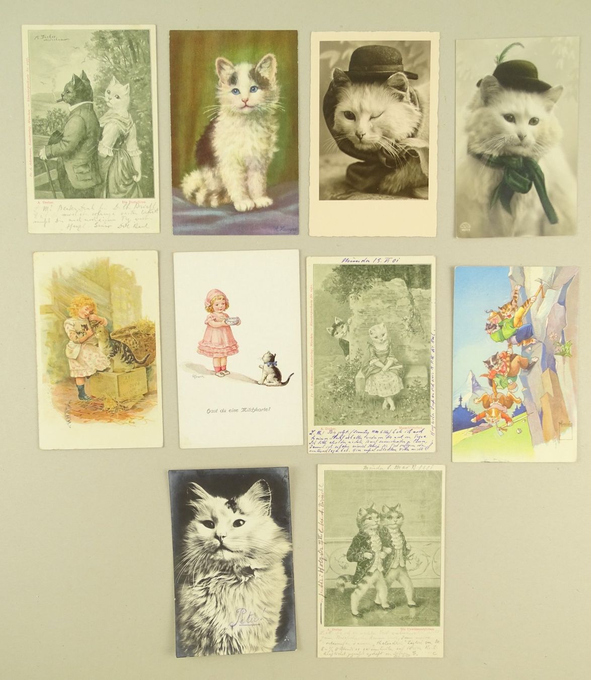 Cartes postales: KATZEN, 21 ALTE KITSCHKARTEN – D'occasion à Grüningen par Kartensammler