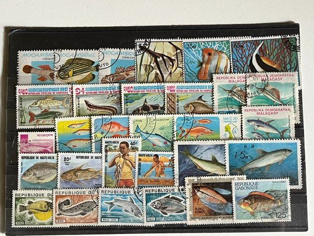 Tutti i francobolli: 30 timbres différents thématique poisson n°1 – Usato da Satigny venduto da buc_d7s5