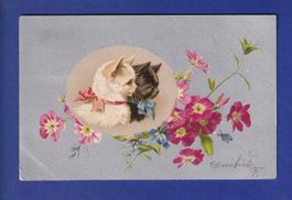 CHAT - Chats et fleurs