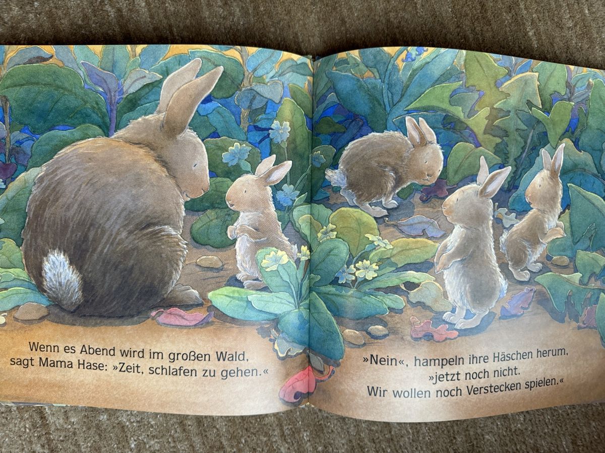 Livres: Bilderbuch - Wenn es Abend wird im Wald – Neuf (Voir description) à Aarau par Kilauea 4