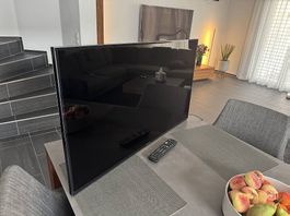 Panasonic 40 Zoll