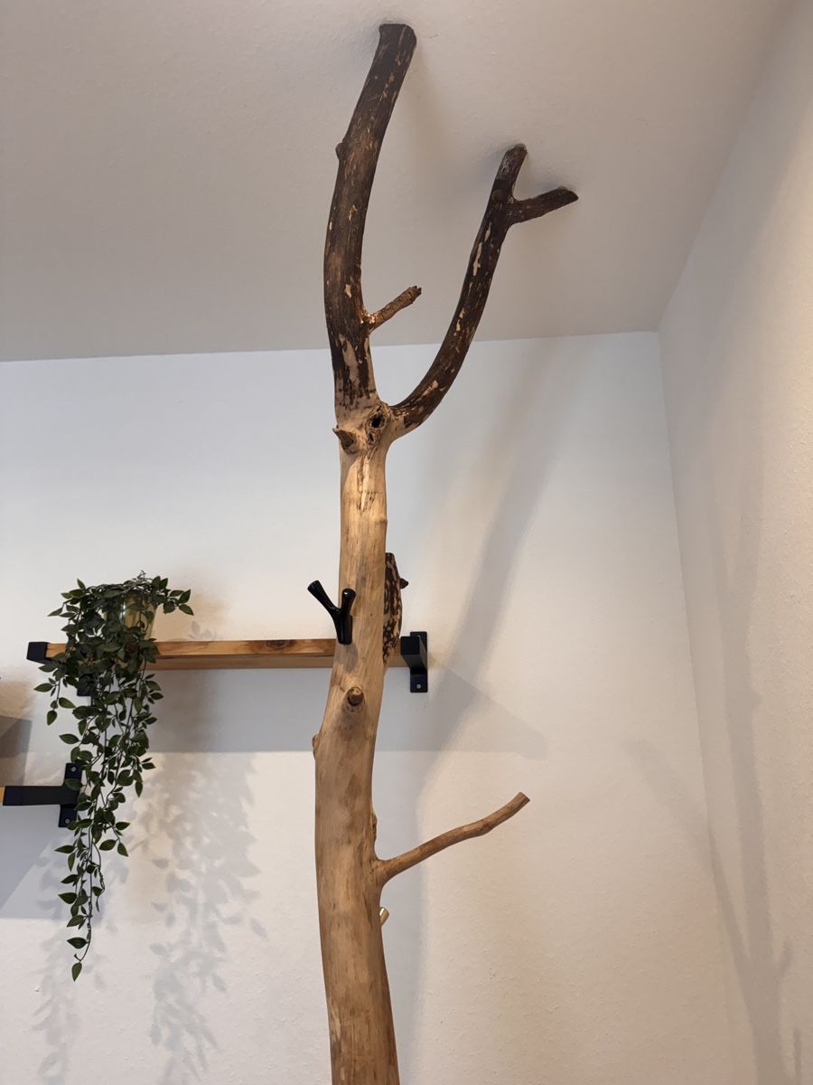 Porte manteau: Garderobe/Halterung – D'occasion à Bottighofen par dia_65zc 3