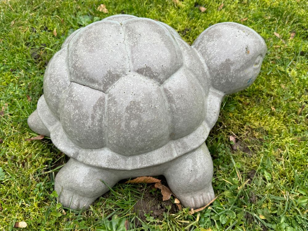 Schöne SteinGartenSchildkröte Kaufen auf Ricardo