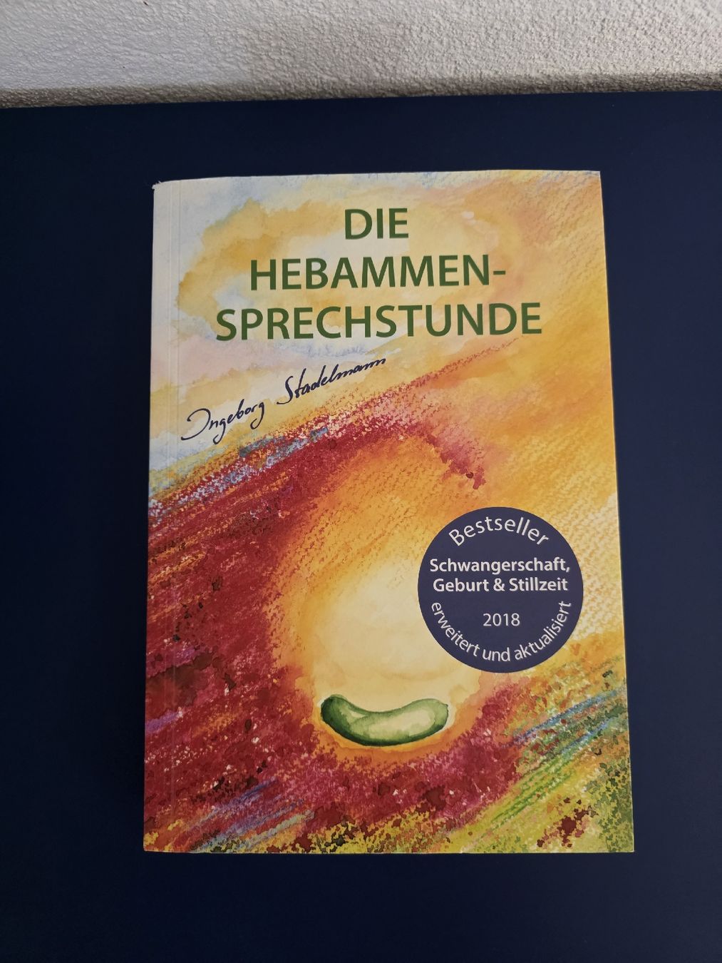 Libri: Die Hebammen-Sprechstunde Buch, Schwangerschaft – Nuovo (secondo la descrizione) da Ueberstorf venduto da vil_qmy8