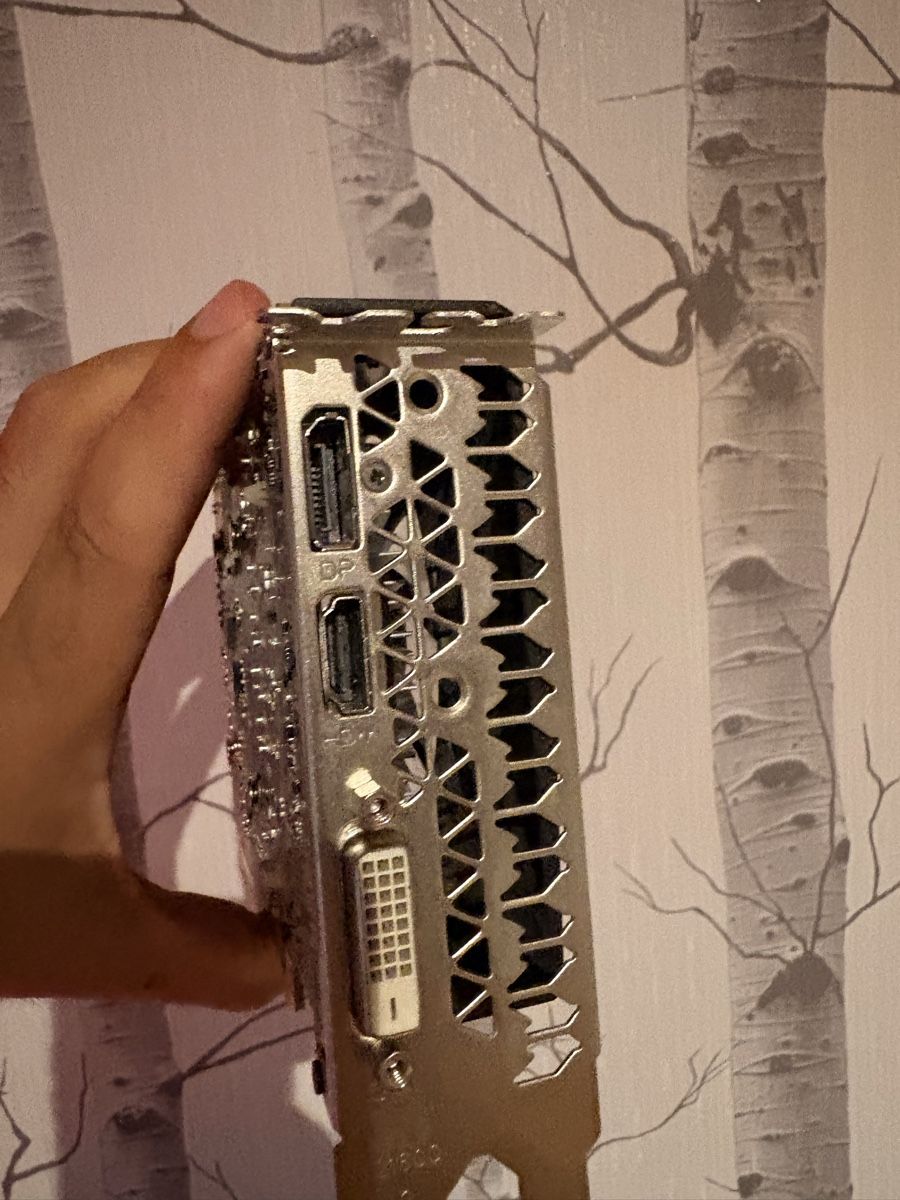 Nvidia Grafikkarten: NVIDIA GEFORCE 1660ti 6gb – Gebraucht aus Dompierre FR von PRiT_Madara 2