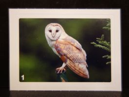 MIGROS MANIA Nature Detectives Nr. 1