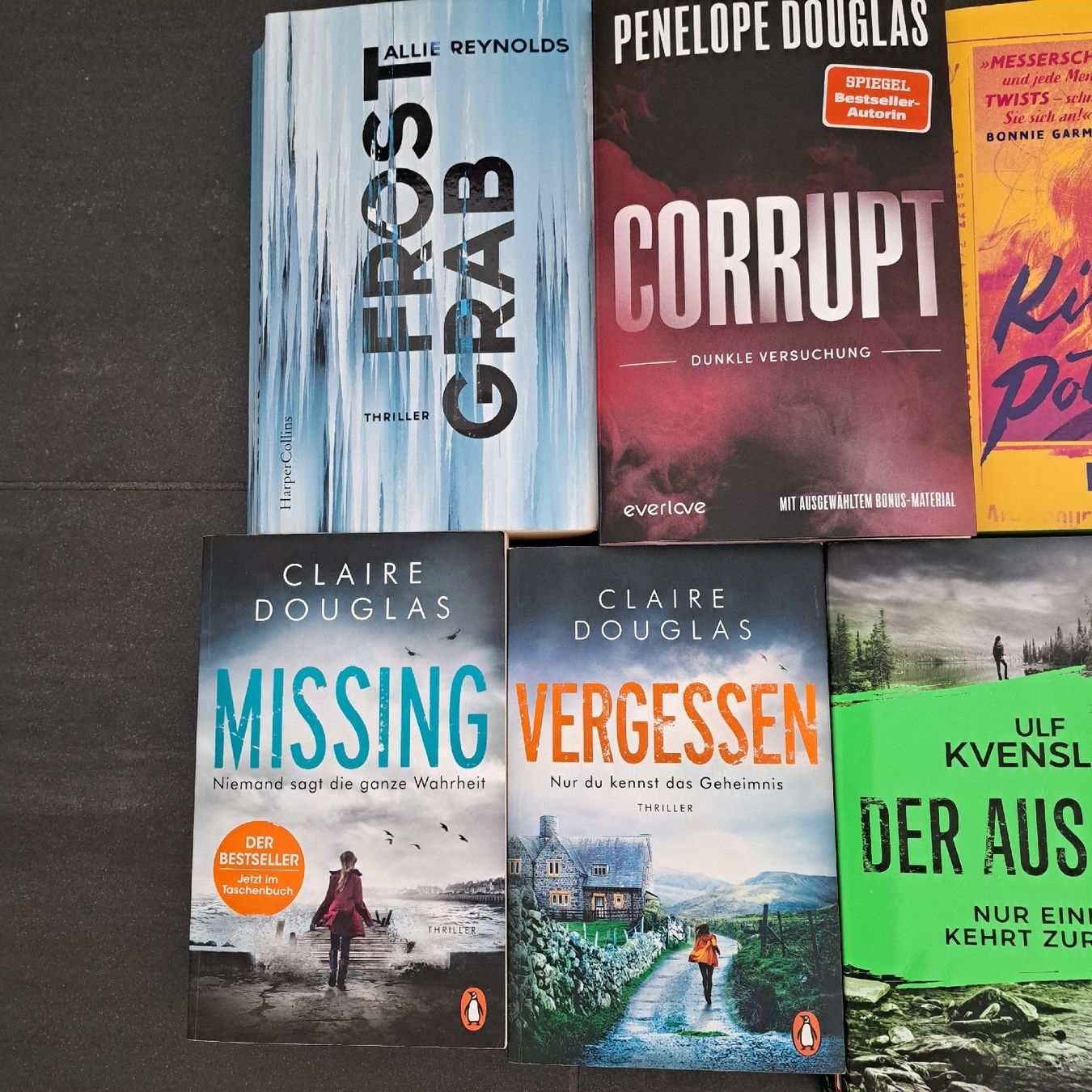 Altro in  Abbigliamento & Accessori: Bücherpaket 9 Bücher Thriller – Usato da Hochdorf venduto da Westin05 1