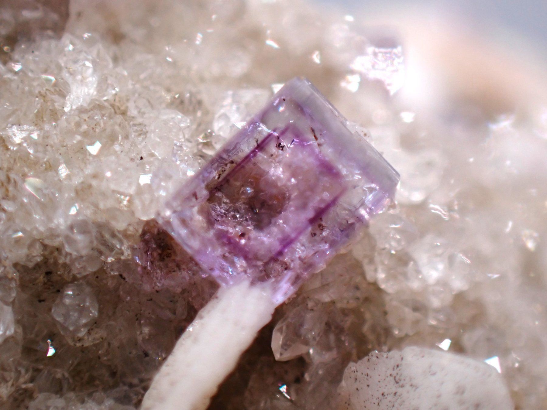 Mineralien & Heilsteine: Fluorite from Berbes mining area, Ribadesella, Spain – Gebraucht aus Figino von minshop 9