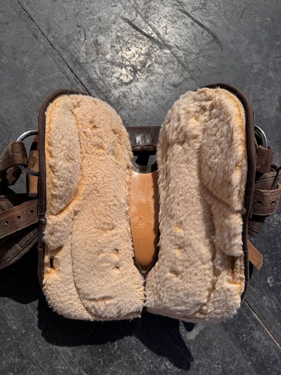 Sattel & Sattelzubehör: Westernsattel mit Pad – Gebraucht aus Siselen BE von Mammut2577 2