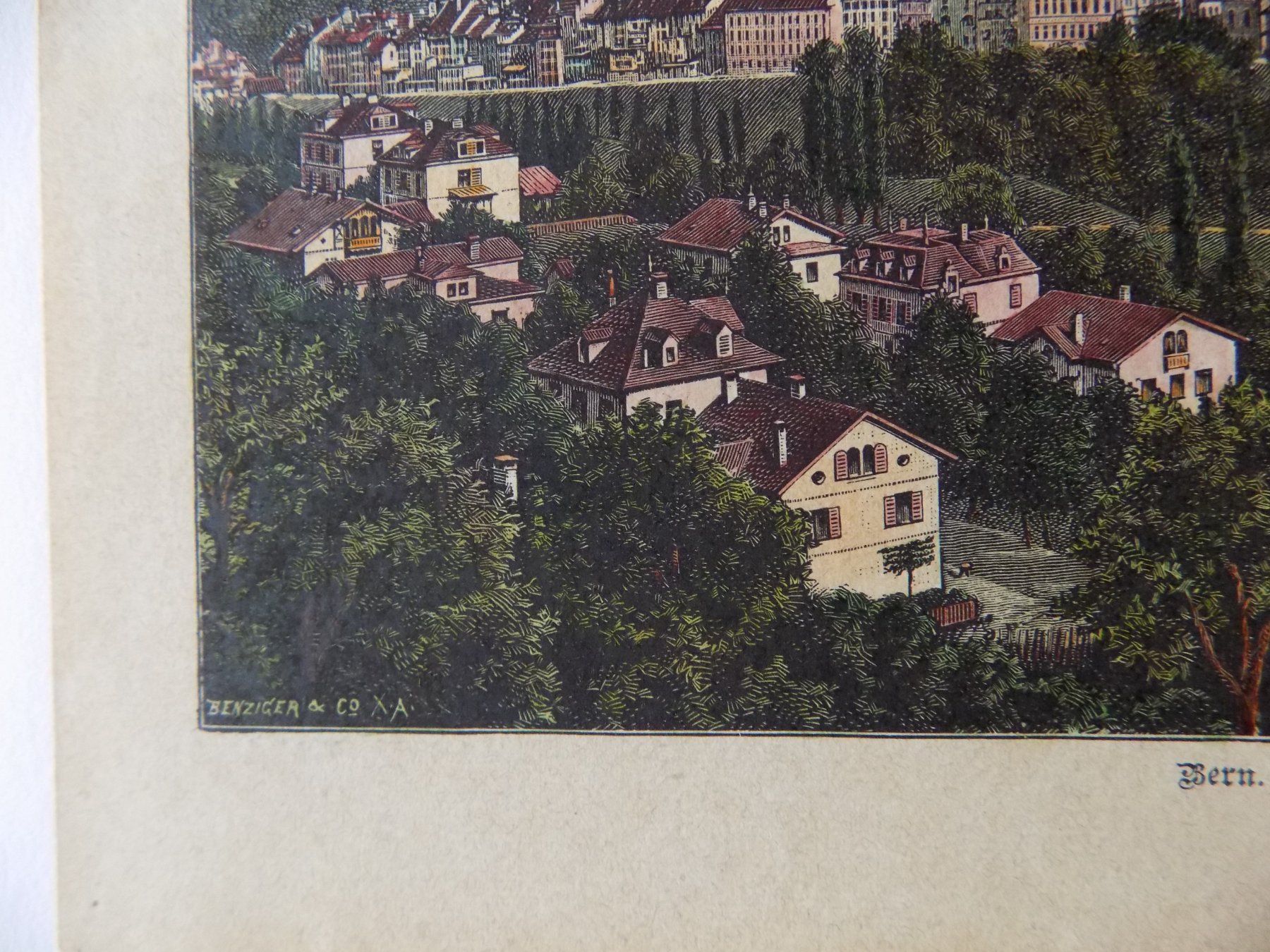 Incisioni: Bern kolorierte Xylographie – Usato da Risch venduto da Rischli15 2