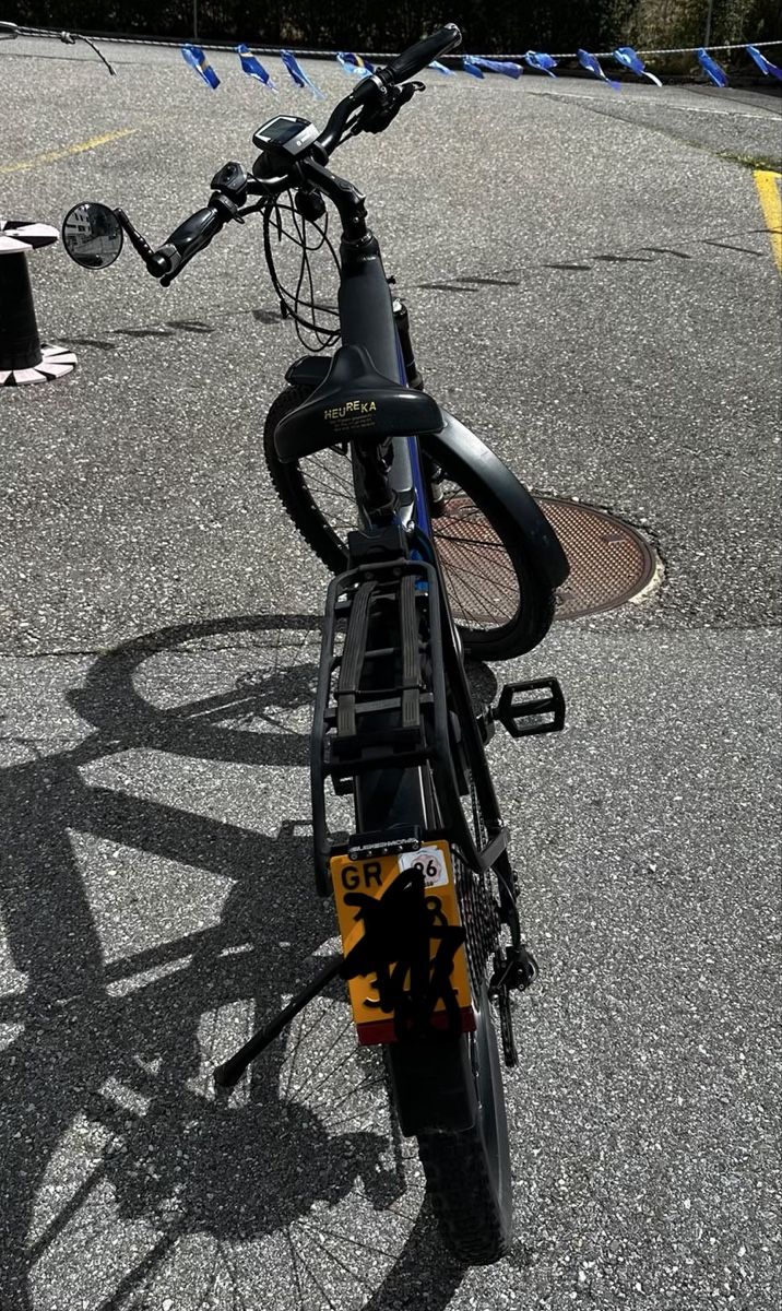 Riese & Müller Velos: E-Bike Riese&Müller – Gebraucht aus Chur von Sim7000 6
