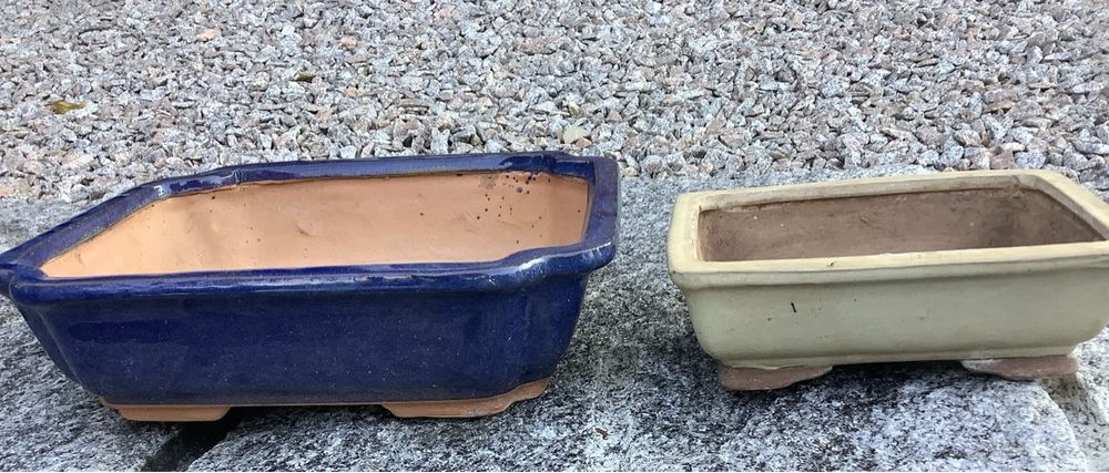 2 Bonsai Schalen, Töpfe für den Garten Kaufen auf Ricardo