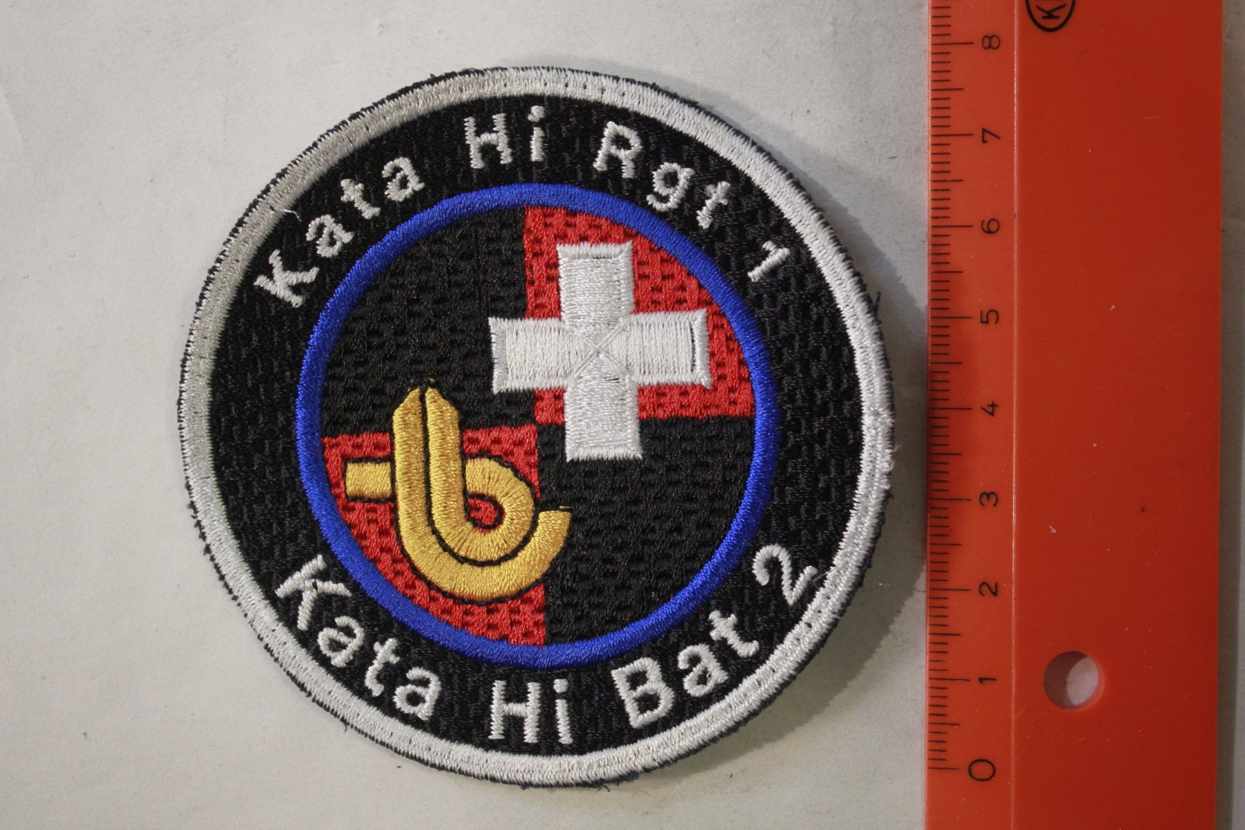 Schweizer Armee Toppe: klata rgt 1 – Usato da La plaine venduto da 7A6T2ME