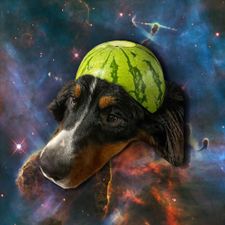 Profile image of Gobernaitor