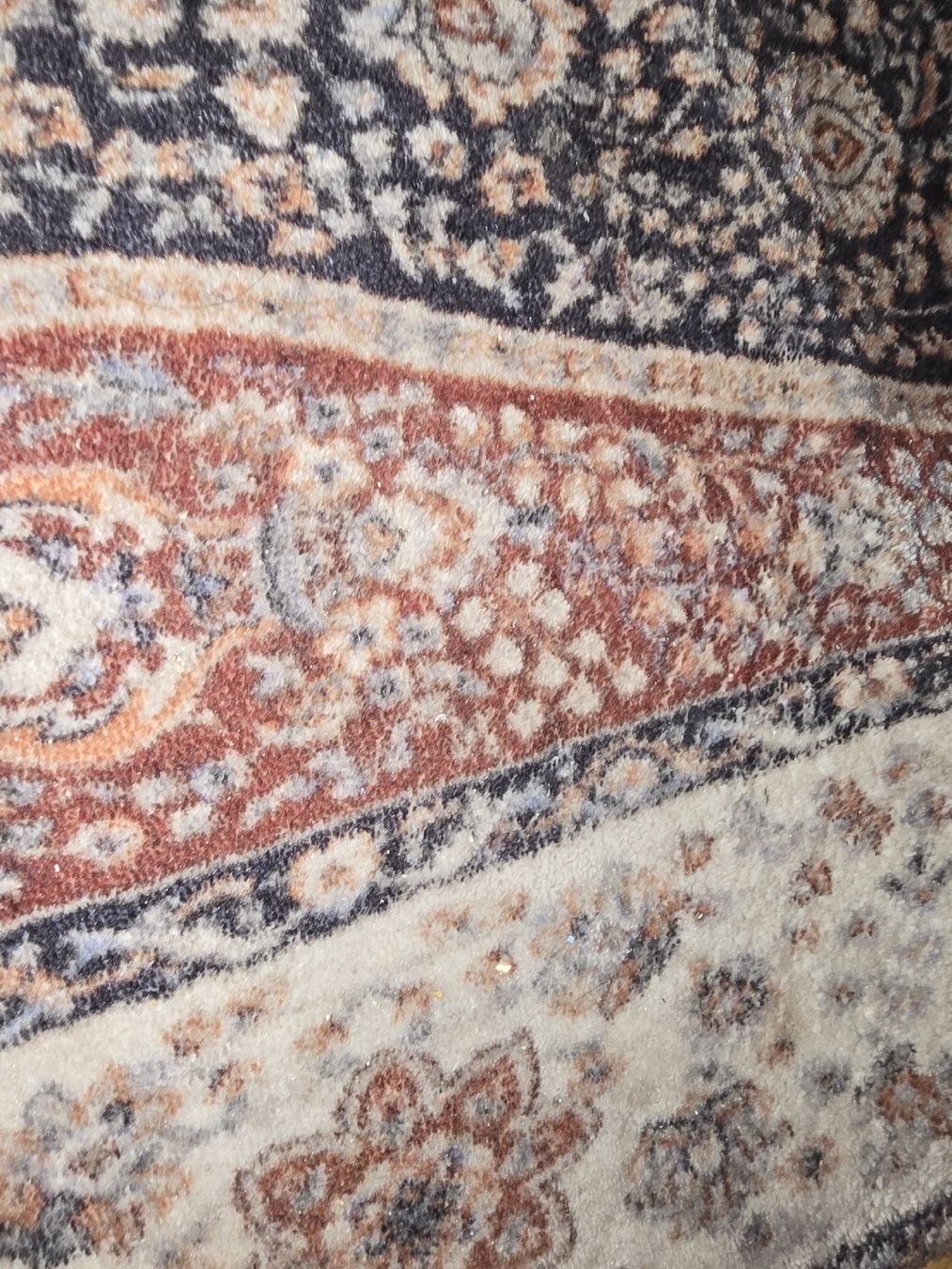 Teppiche: Orientalischer Teppich  – Gebraucht aus Adliswil von Micky048 3