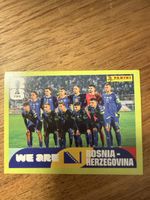 Panini Fifa BIH 13