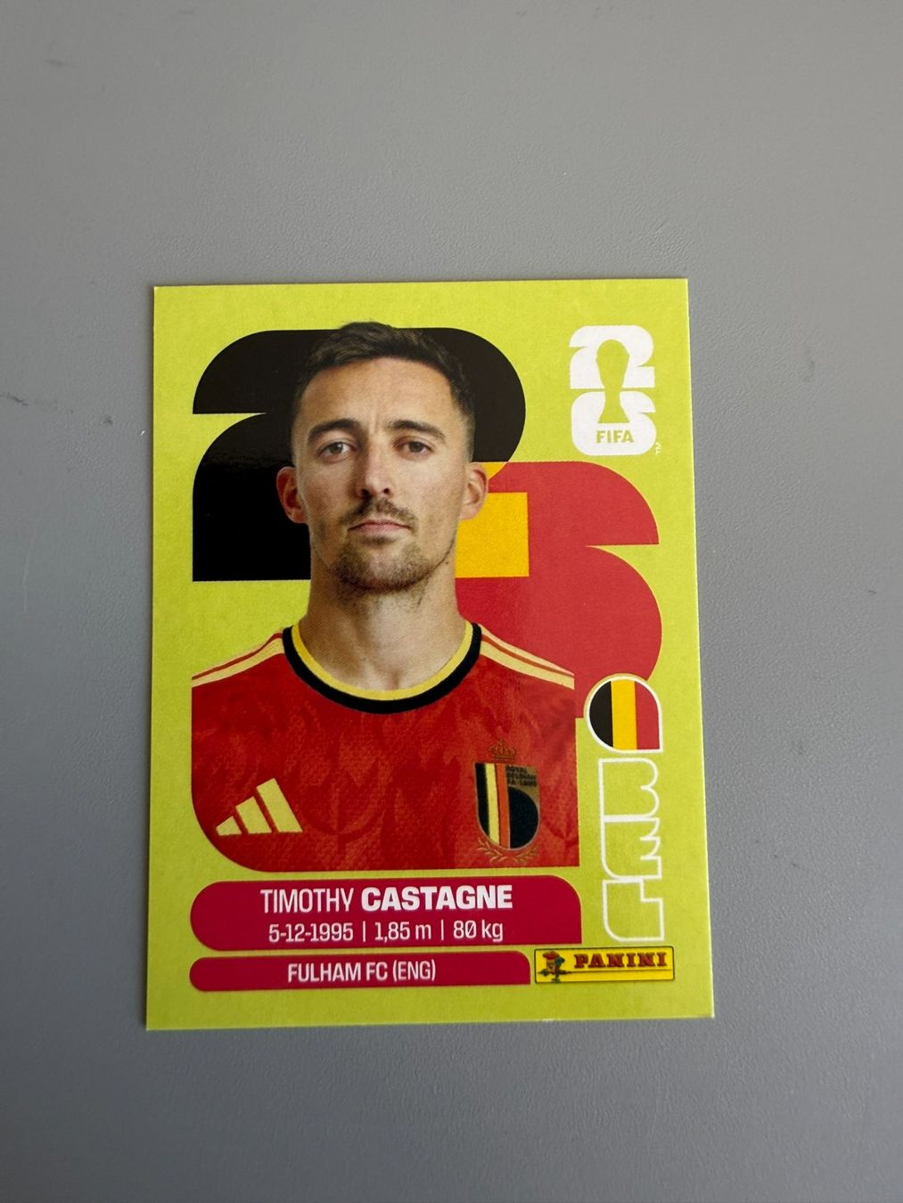 Panini Carte collezionabili: Panini Timothy Castagne BEL4 – Usato da Liebefeld venduto da Ronaldo-1996