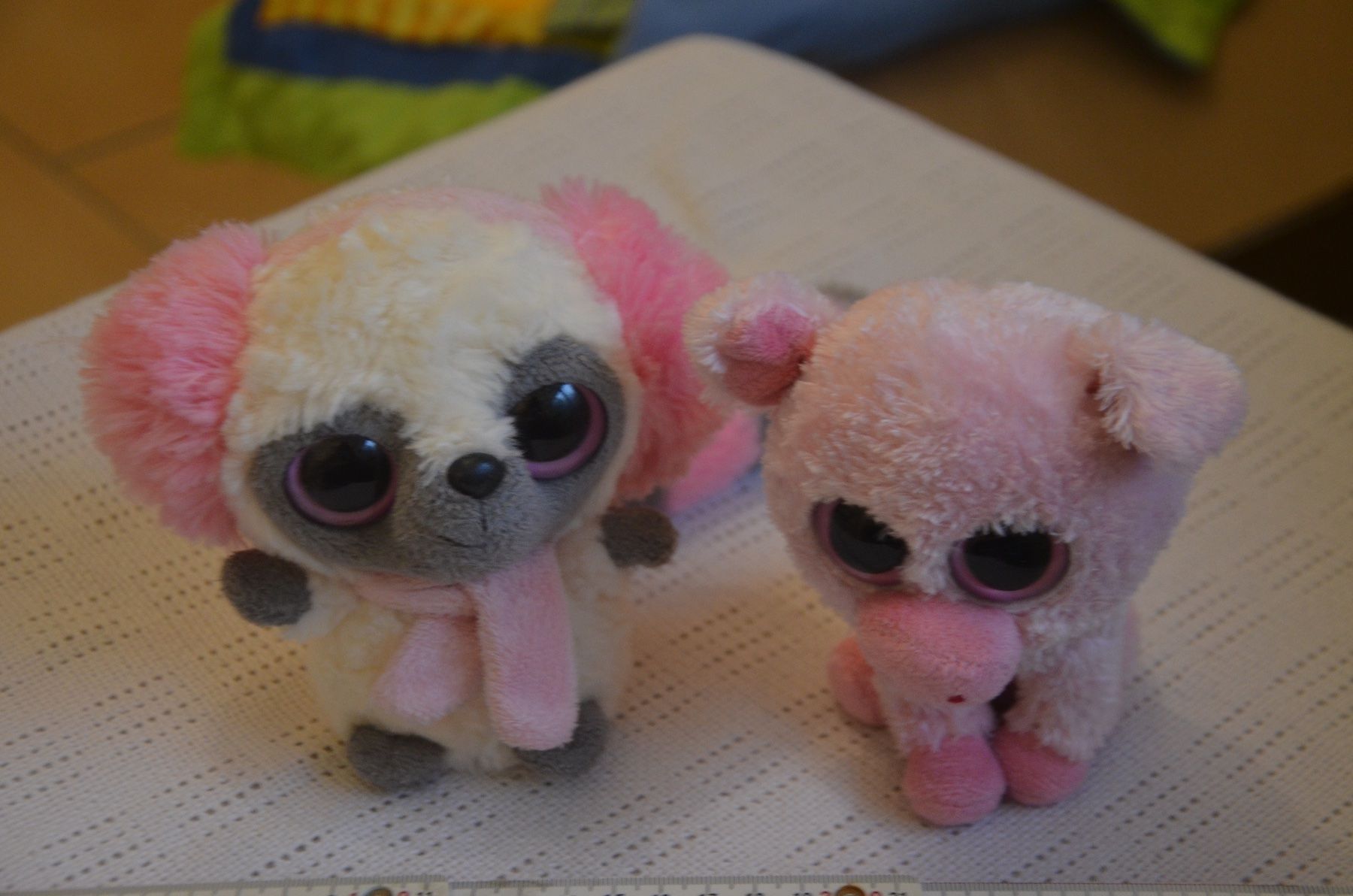 Giocattoli: 2 PELUCHES – Usato da Chiasso venduto da Dolly015