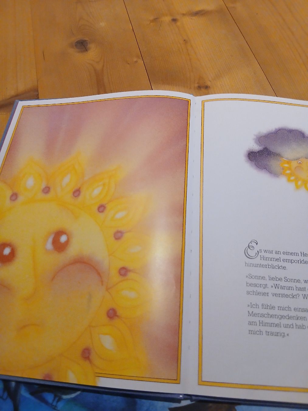 Bücher: 4 wunderschöne Bilderbücher – Marcus Pfister & weitere – Gebraucht aus Märstetten von Chapep 9