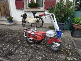 Motograziella Cheeky Boy, Kult Klapp-moped mit Fahrzeugauswe