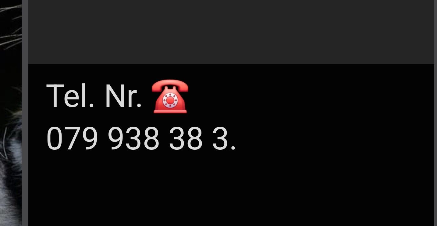 Swisscom Telefoni: Natelnummer 079 938 38 3. – Nuovo (secondo la descrizione) da chur venduto da Toms-gr