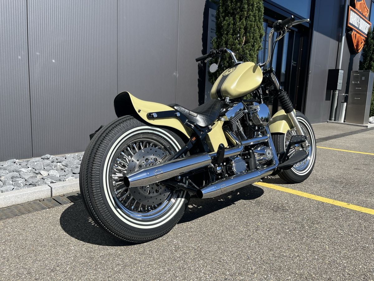 Harley-Davidson Chopper: Harley Evo Softail – Usato da Maur venduto da EvoPit 1