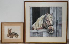 Tierbilder