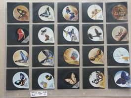 Serie    PS   69 / 94      Schmetterlinge      Gastro  spitz