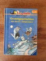 Leserabe - Gruselgeschichten von den 6.5 Gespenstern
