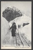 Chemin de fer des Rochers de Naye Train dans les neiges