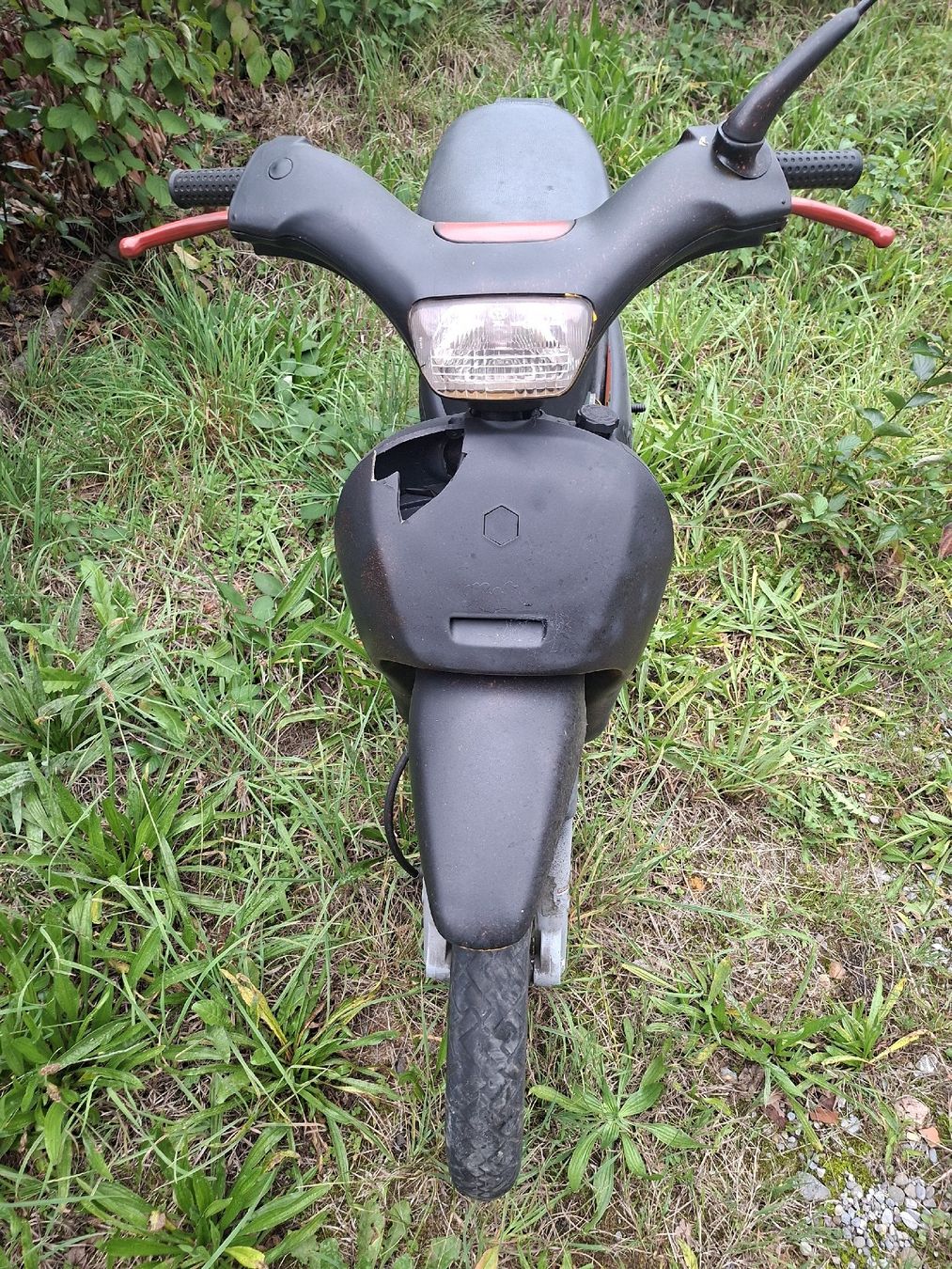 Piaggio Mofas: Piaggio Free – Defekt aus Meierskappel von rigihans 4