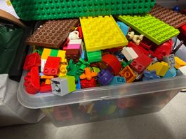 Duplo
