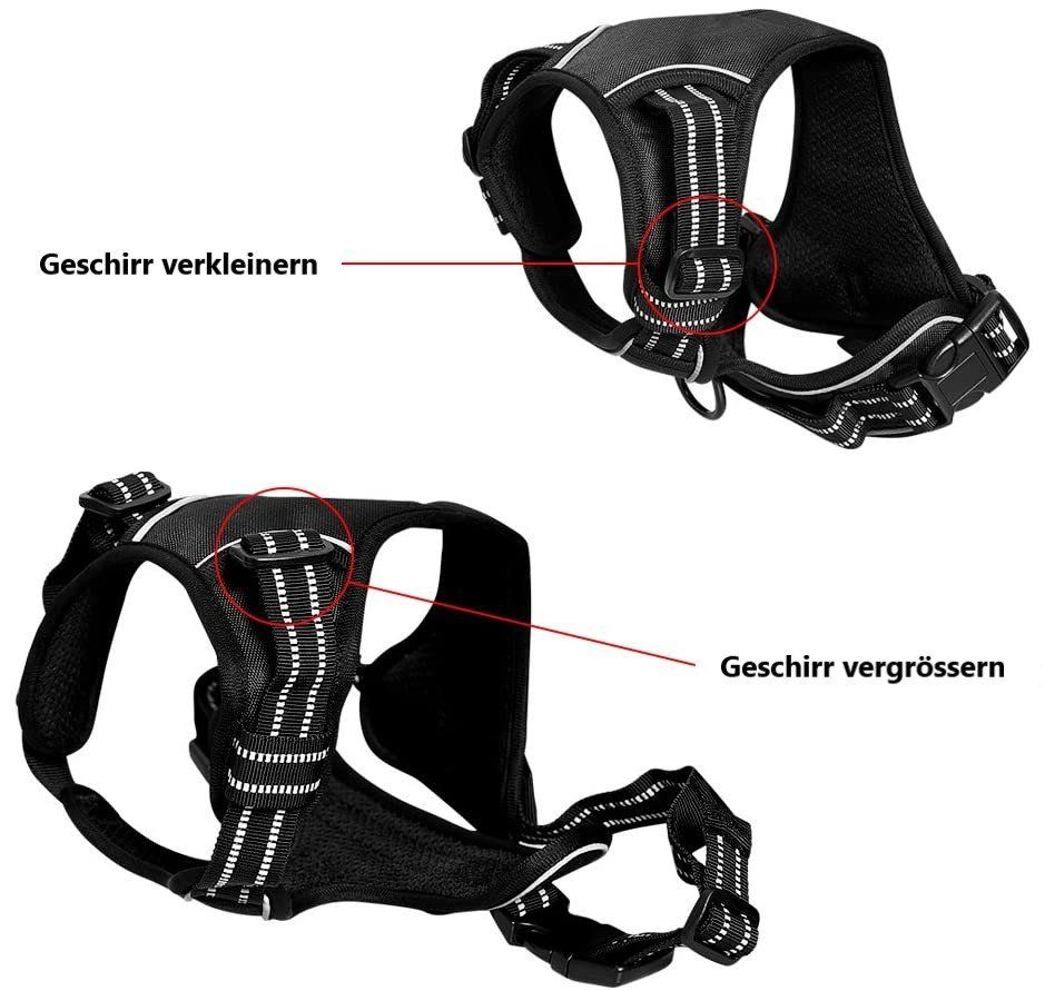 Guinzagli & Collari: EXA Hundegeschirr mit 2 Ringen - Grösse M – Nuovo e nell'imballaggio originale da Werdenberg venduto da EXA-Animal-World 4