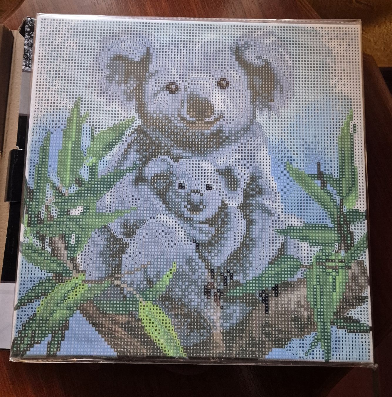 Bastelsets: Craft Buddy Cuddly Koalas; Neu – Neu und originalverpackt aus Richterswil von ChristinW01 2