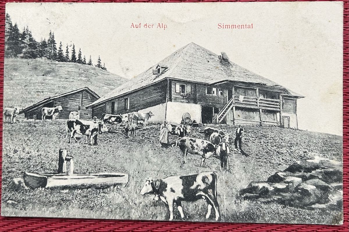 Cartoline postali: Auf der Alp Simmental  – Usato da Horw venduto da Tellbub
