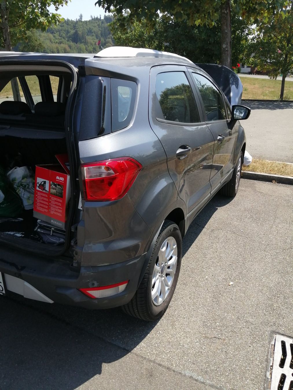 Ford Automobili: Ford eco sport – Usato da Wetzikon venduto da dan_6lrd 5