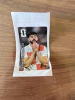 Panini 