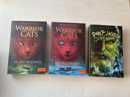 3 verschiedene Bücher / Fantasy / Jugendbücher 