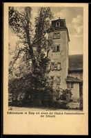 AK Belp, Schlossturm mit einem der ältesten Kastanienbäume d