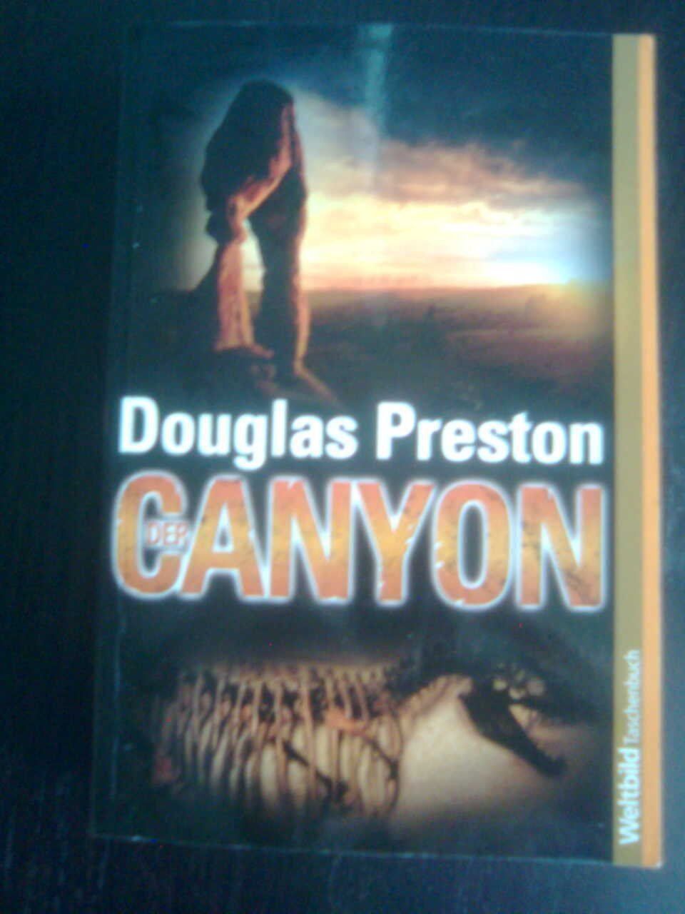 Bücher: Douglas Preston Der Canyon – Gebraucht aus Basel von Alacant