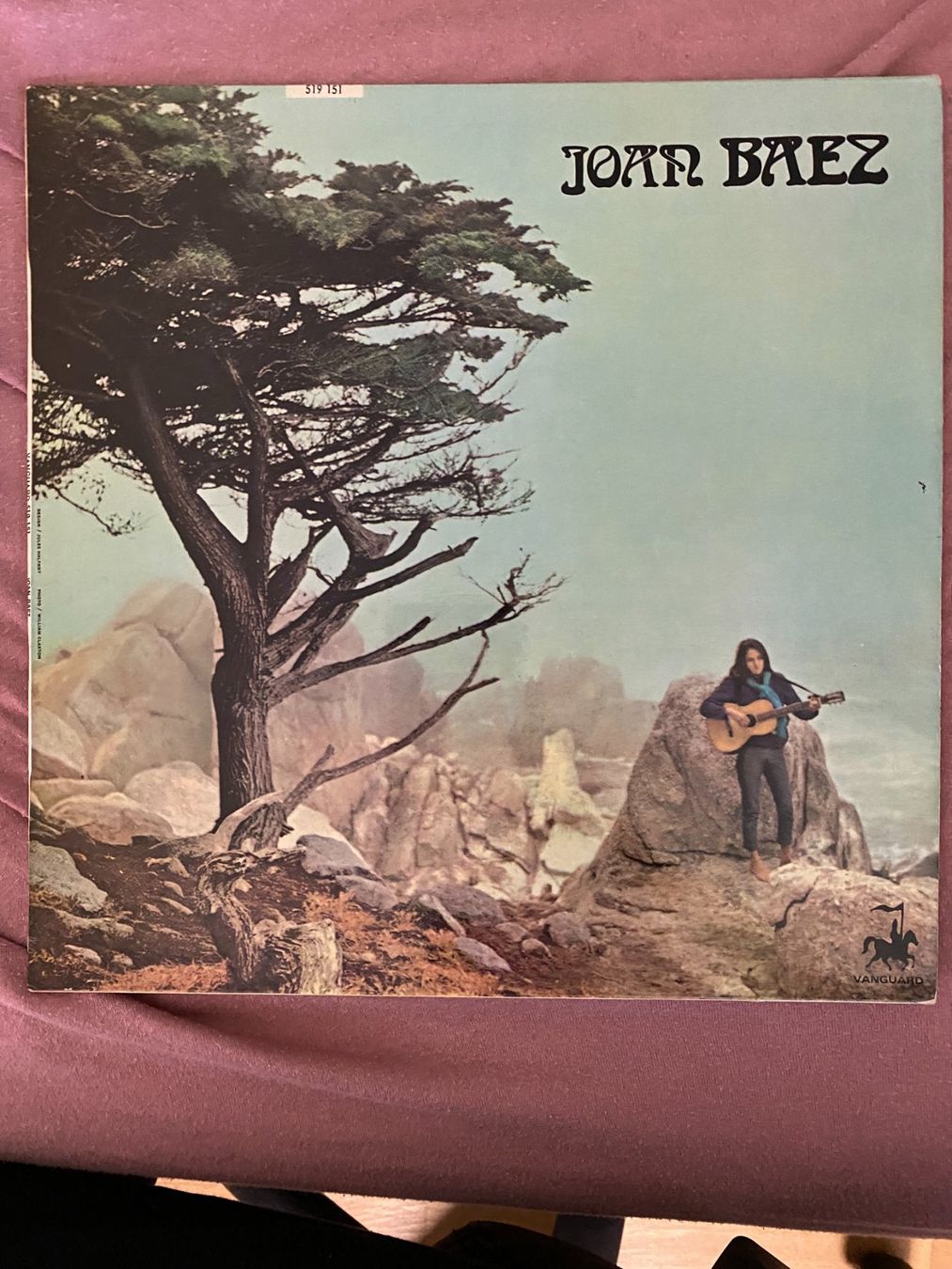 Dischi in vinile: LP – Usato da Dietlikon venduto da Nicokh