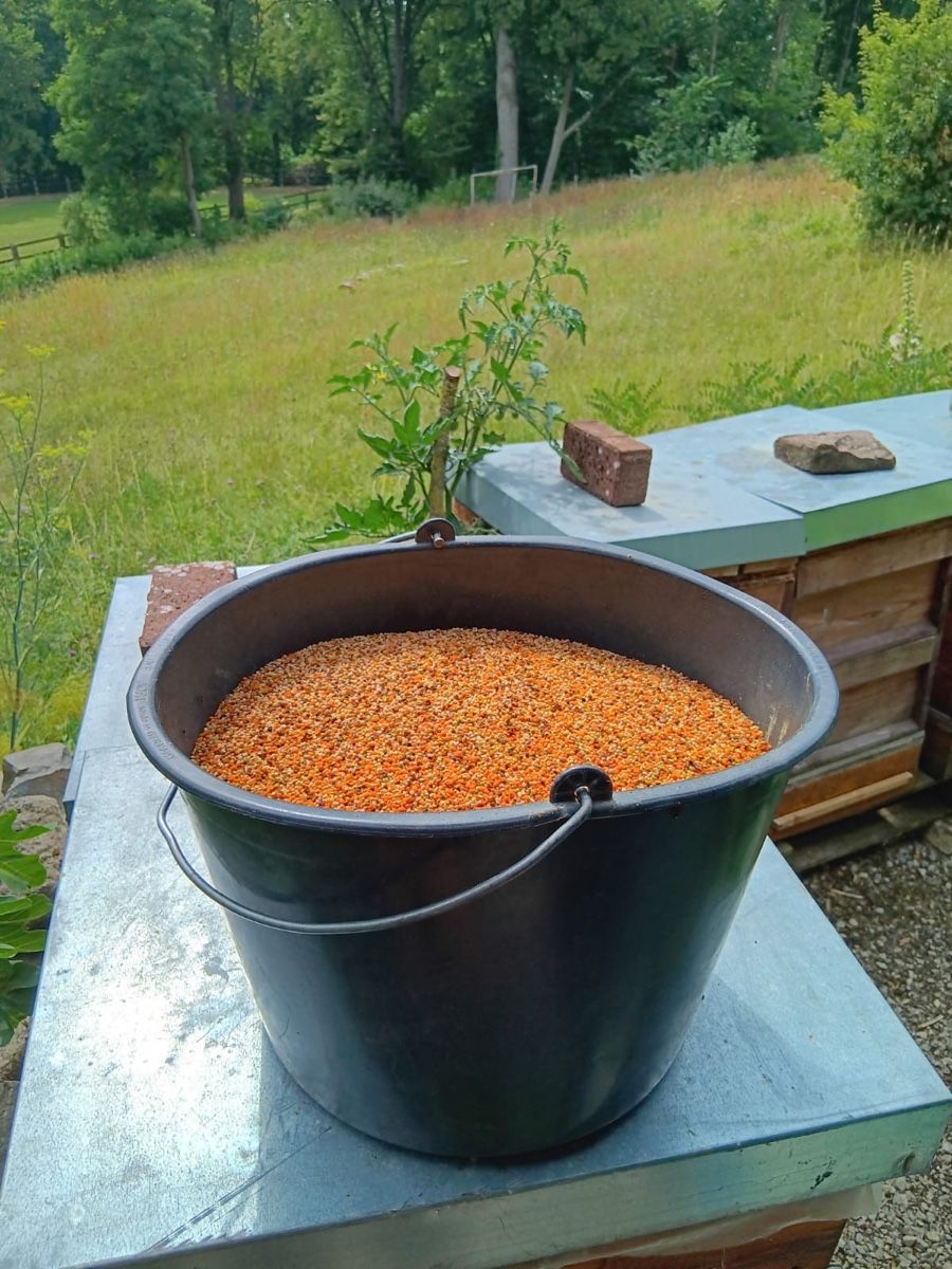 Lebensmittel & Spezialitäten: Bienenpollen – Neu und originalverpackt aus Boll von phi_g2nv