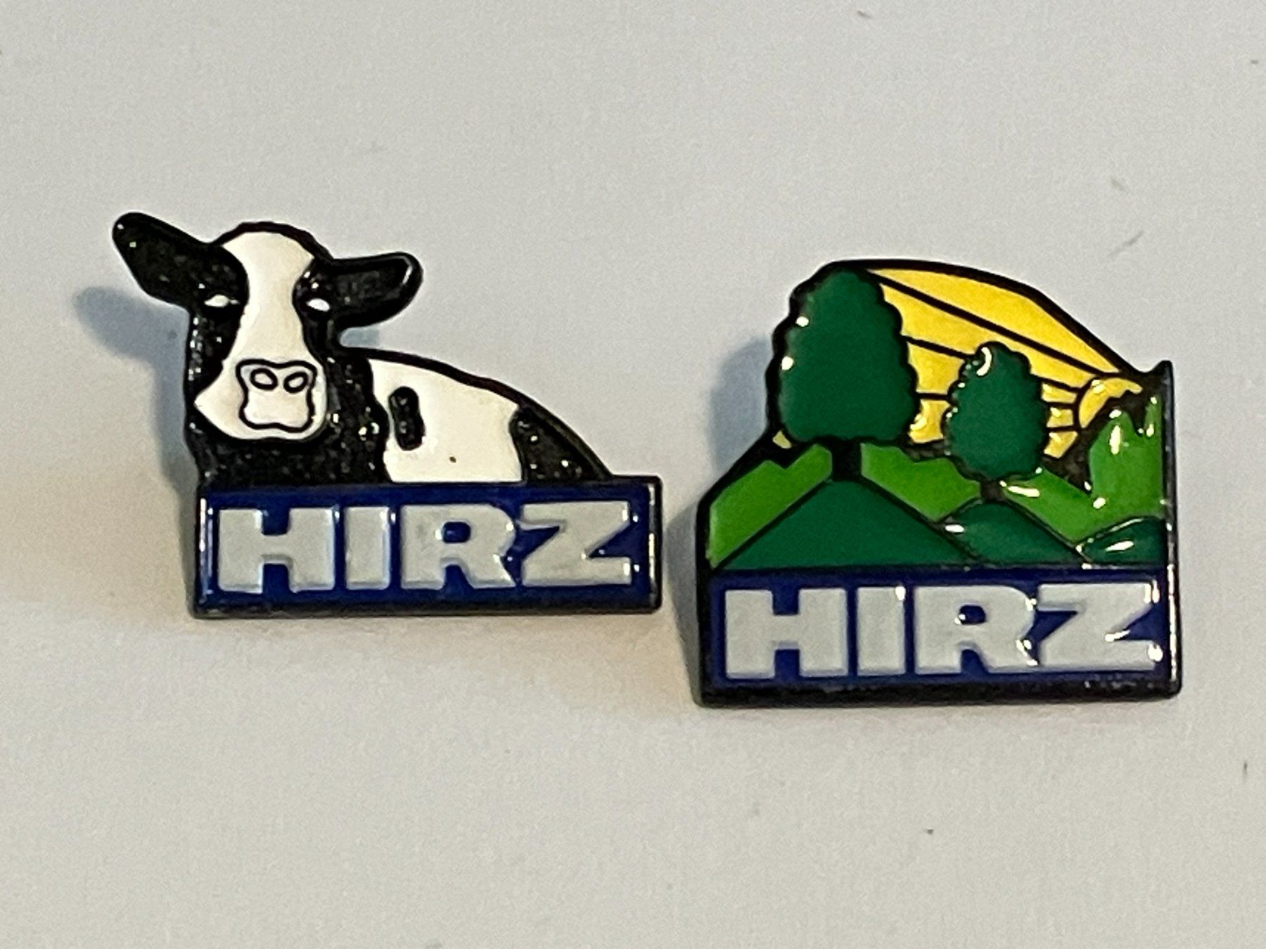Placchette & Badge: 2 Pin Hirz – Usato da Basel venduto da djwwpp