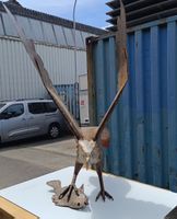 Adler Skulptur aus Metall – Einzigartiges Kunstobjekt(em175)