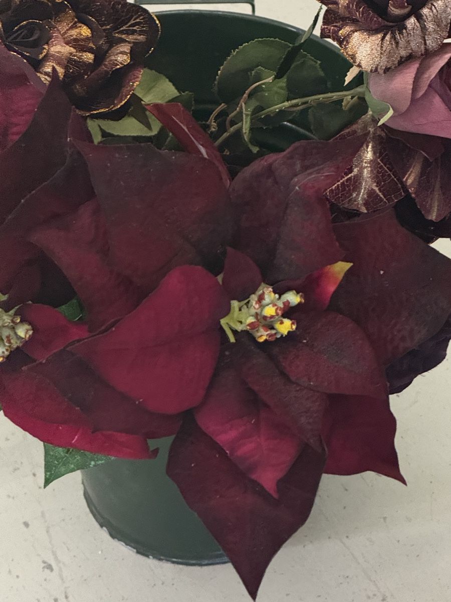 Alle Dekorationen: Künstlichen Blumen – Gebraucht aus Pfäffikon SZ von Tonimarroni99 2
