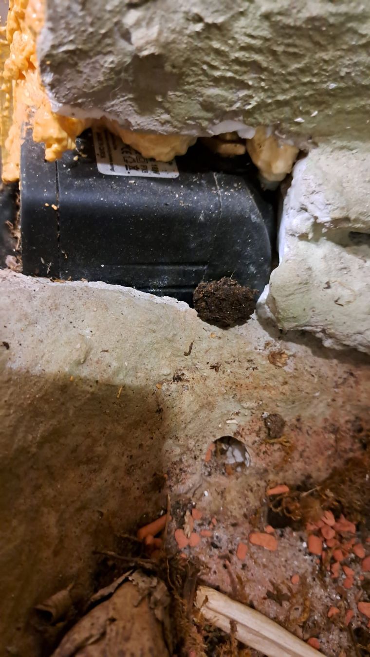Terrarium: Terrarium – Gebraucht aus Oberentfelden von Myri13 8