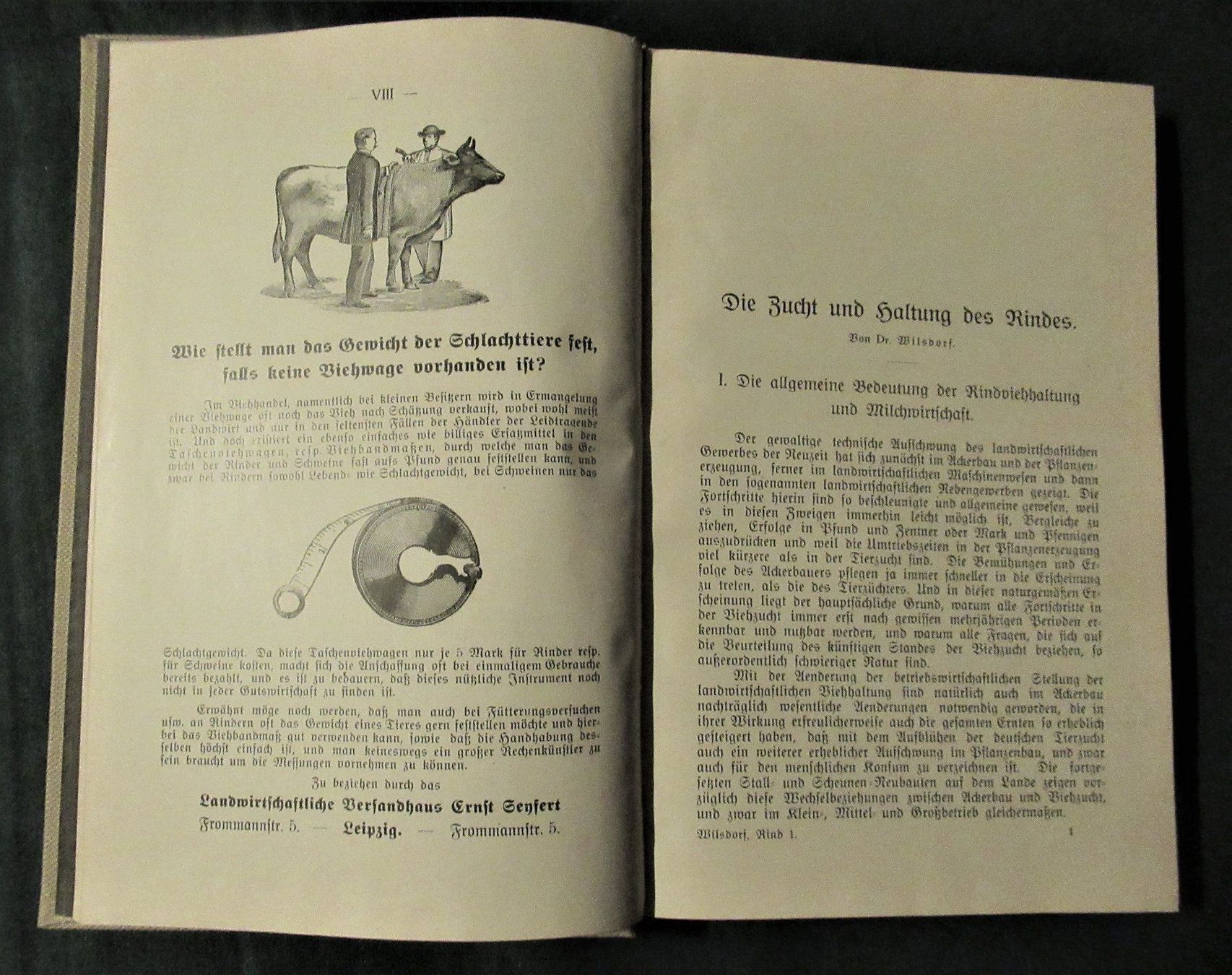 Bücher: Rind  Rinderzucht  Rinderhaltung – Gebraucht aus Hedingen von Protechnica 2
